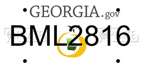 BML2816 Georgia License Plate