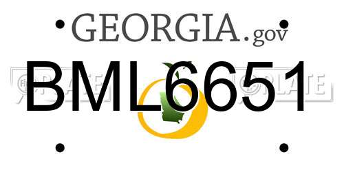 BML6651 Georgia License Plate