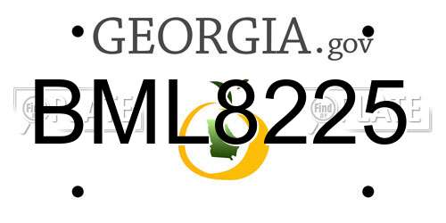 BML8225 Georgia License Plate