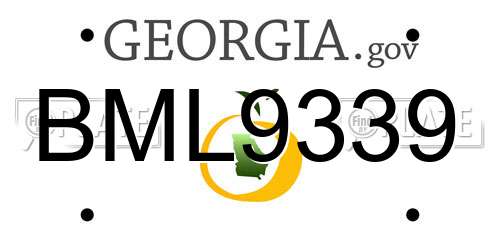BML9339 Georgia License Plate