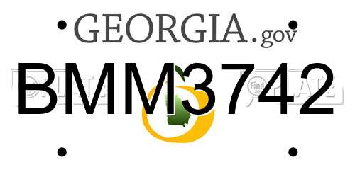 BMM3742 Georgia License Plate