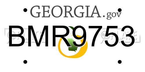 BMR9753 Georgia License Plate