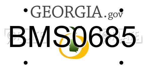BMS0685 Georgia License Plate