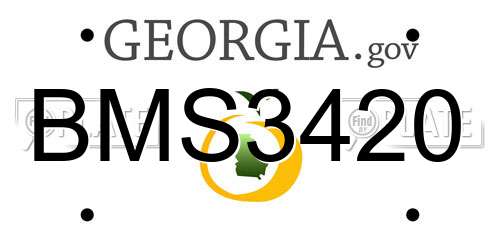 BMS3420 Georgia License Plate