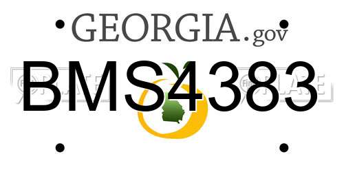 BMS4383 Georgia License Plate