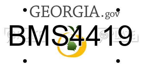 BMS4419 Georgia License Plate