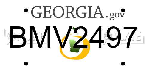 BMV2497 Georgia License Plate