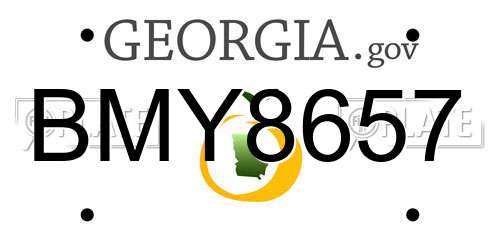 BMY8657 Georgia License Plate
