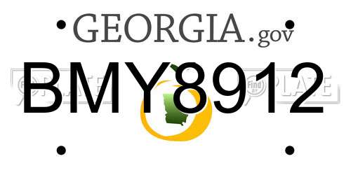 BMY8912 Georgia License Plate