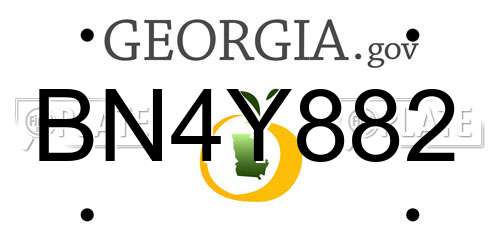 BN4Y882 Georgia License Plate