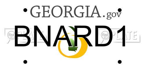 BNARD1 Georgia License Plate