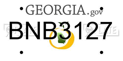 BNB3127 Georgia License Plate