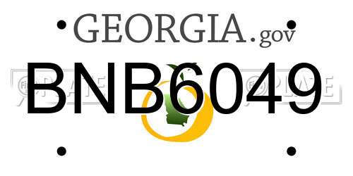BNB6049 Georgia License Plate