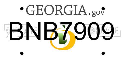 BNB7909 Georgia License Plate