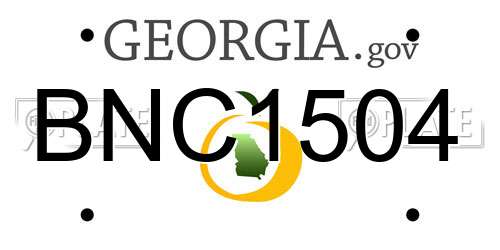 BNC1504 Georgia License Plate