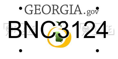 BNC3124 Georgia License Plate