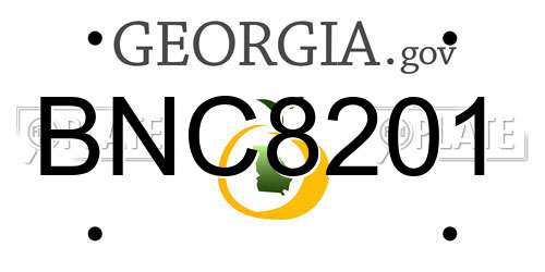 BNC8201 Georgia License Plate