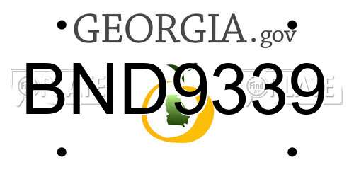 BND9339 Georgia License Plate