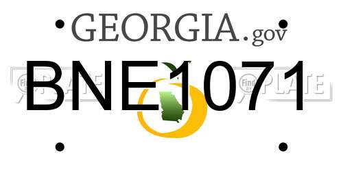 BNE1071 Georgia License Plate