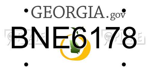 BNE6178 Georgia License Plate