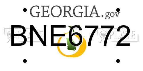 BNE6772 Georgia License Plate