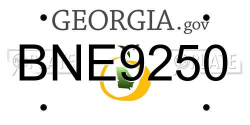 BNE9250 Georgia License Plate