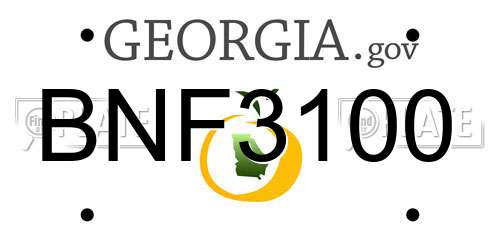 BNF3100 Georgia License Plate