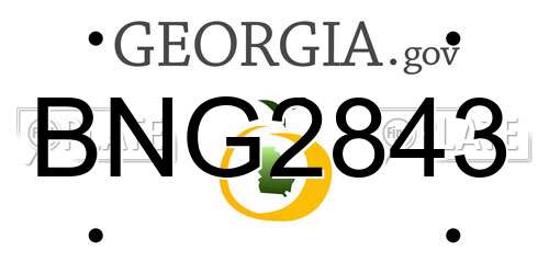 BNG2843 Georgia License Plate