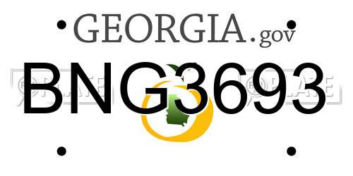 BNG3693 Georgia License Plate