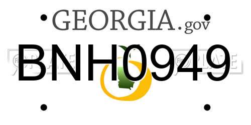 BNH0949 Georgia License Plate