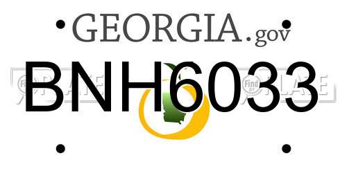 BNH6033 Georgia License Plate