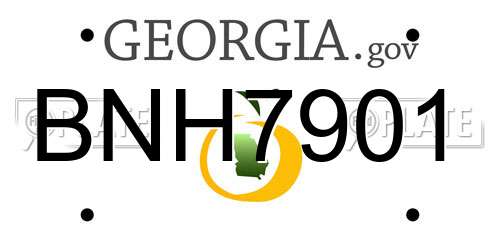 BNH7901 Georgia License Plate
