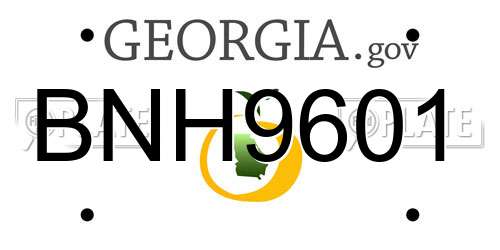 BNH9601 Georgia License Plate