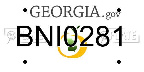 BNI0281 Georgia License Plate