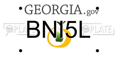 BNI5L Georgia License Plate