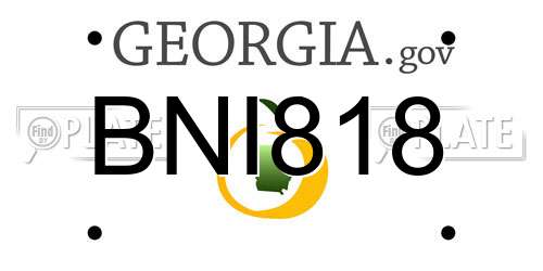 BNI818 Georgia License Plate