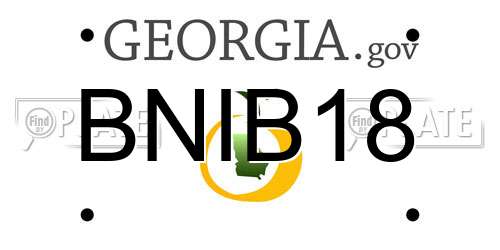 BNIB18 Georgia License Plate