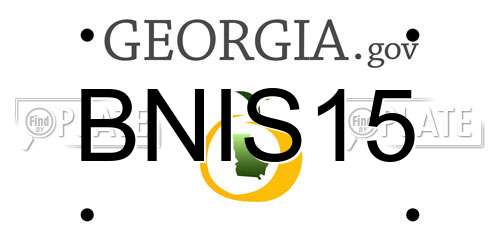BNIS15 Georgia License Plate