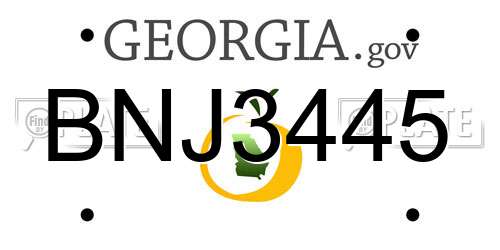 BNJ3445 Georgia License Plate