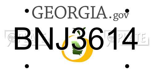 BNJ3614 Georgia License Plate