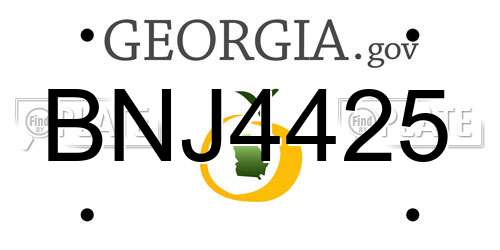 BNJ4425 Georgia License Plate