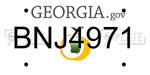BNJ4971 Georgia License Plate