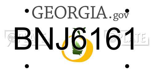 BNJ6161 Georgia License Plate