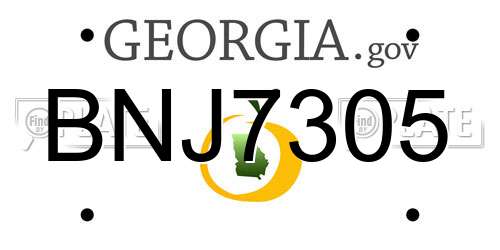 BNJ7305 Georgia License Plate