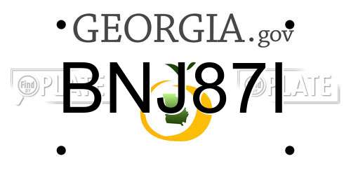 BNJ87I Georgia License Plate