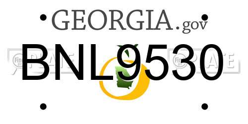 BNL9530 Georgia License Plate