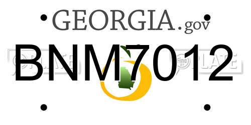 BNM7012 Georgia License Plate
