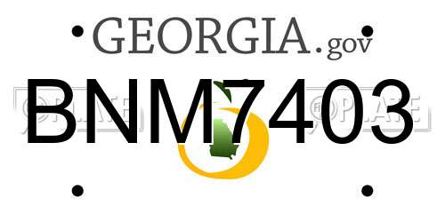 BNM7403 Georgia License Plate