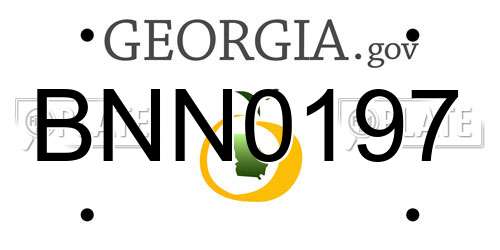 BNN0197 Georgia License Plate
