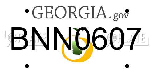 BNN0607 Georgia License Plate